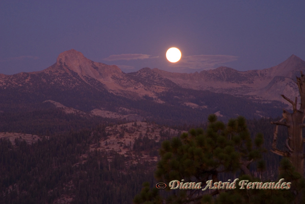USA-moonrise-over-Half-Dome,-Yosemite